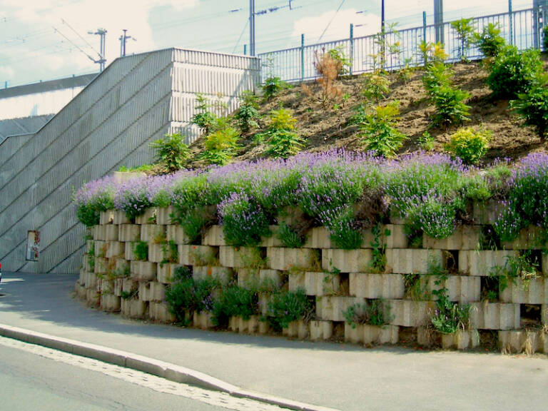 Taluflor soutènement