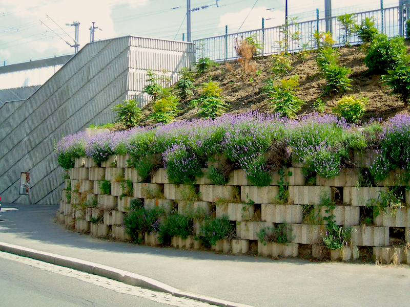 Taluflor soutènement
